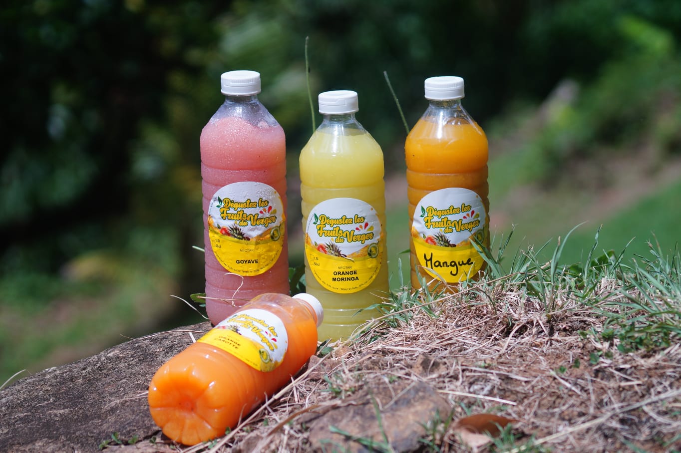 Nectar de fruits - Orange Moringa