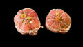 Paupiette de porc x2 (300g - 500g)